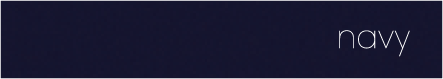 Navy Navy Colour Swatch