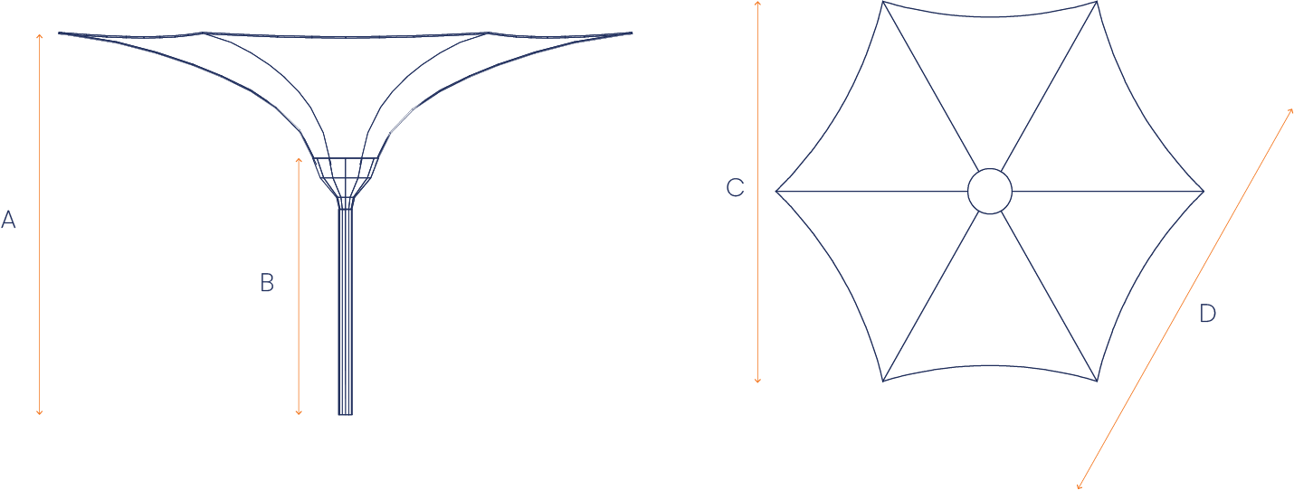 Visualization of an Umbrella configuration