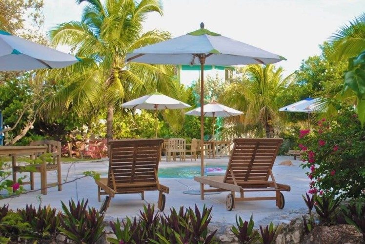 5 Ideas That Make Umbrellas Great Outdoor Shade Solutions for Home and Business