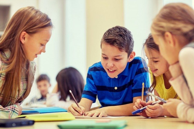 Best Shade Products for Primary Schools in Australia